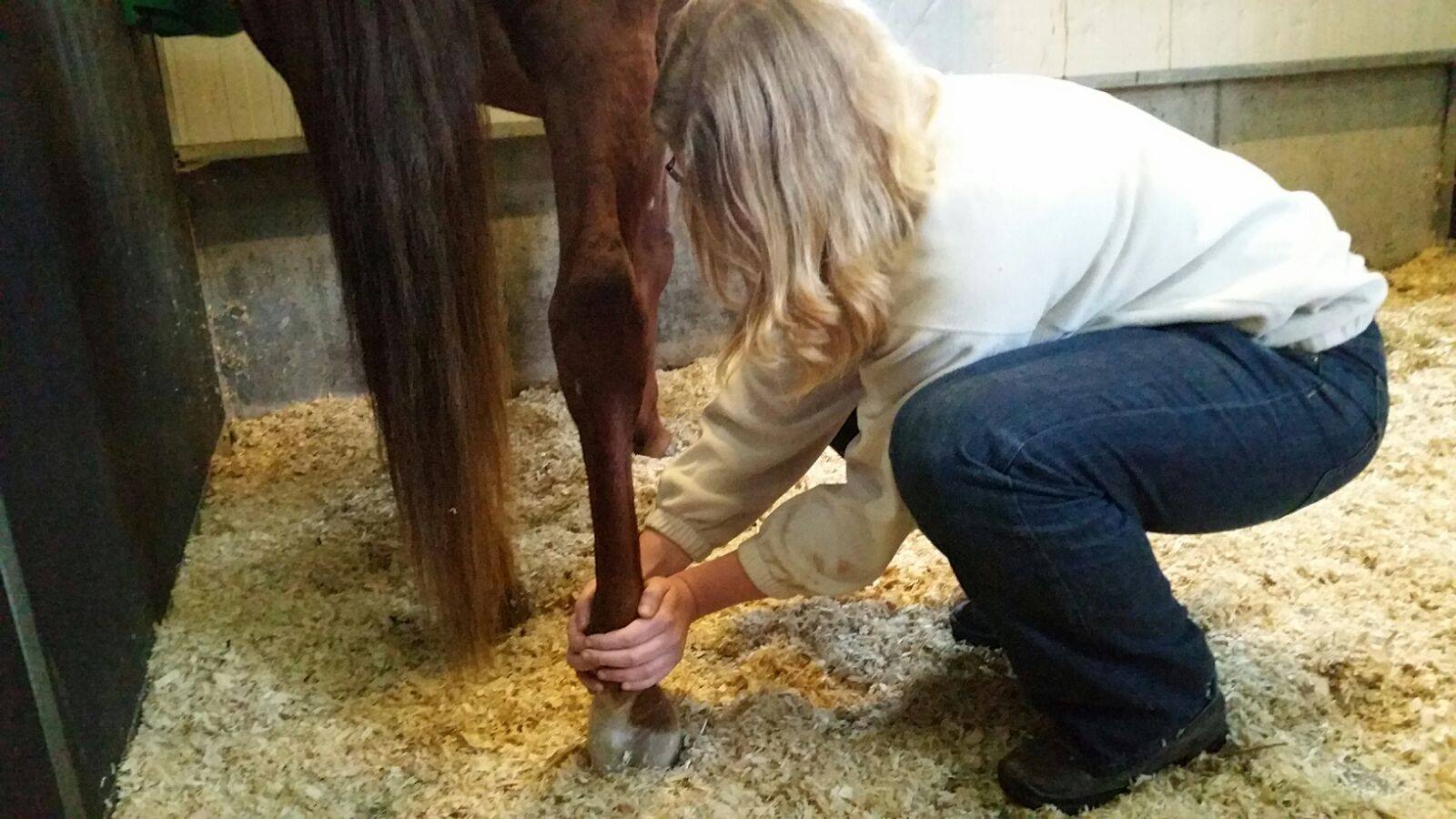 MLD behandeling kogel