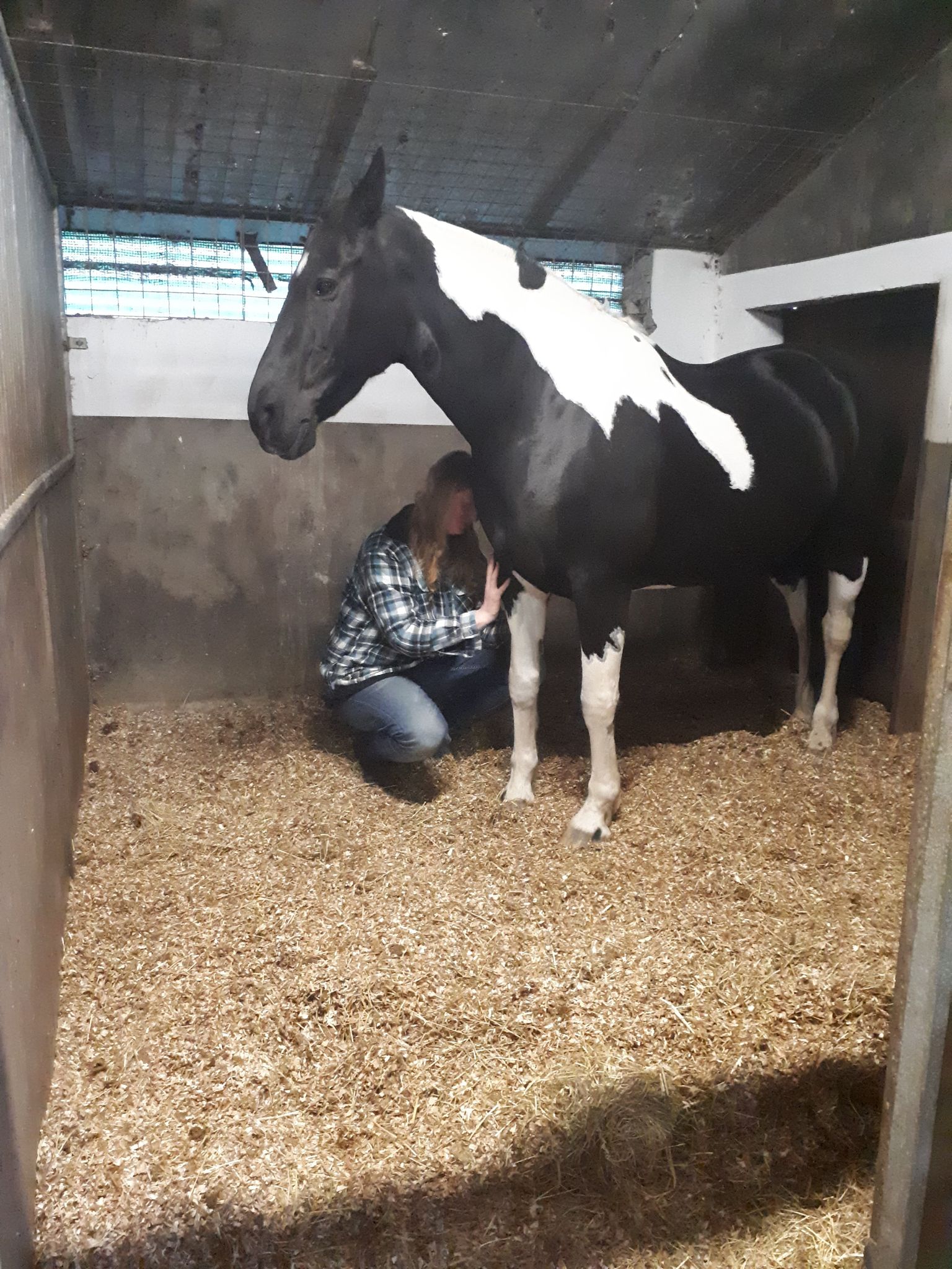 MLD behandeling been