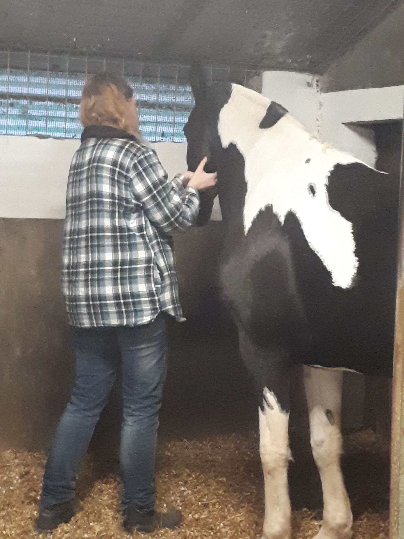 MLD behandeling hoofd